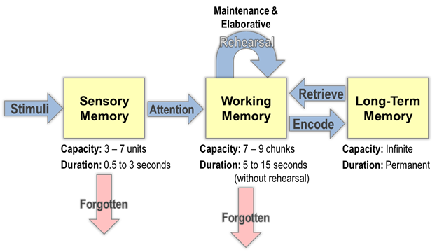 The Information Processing Model